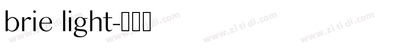 brie light字体转换